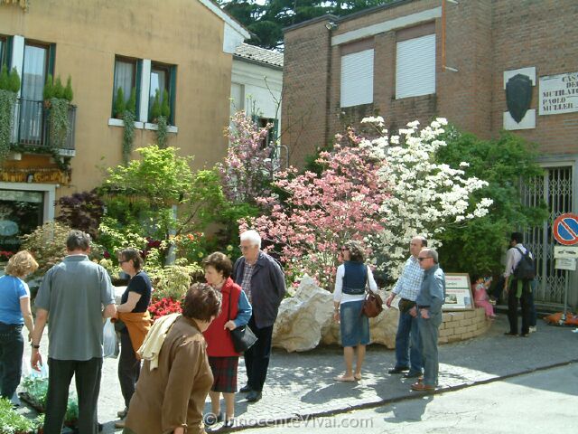 Fiera di Castelfranco 2